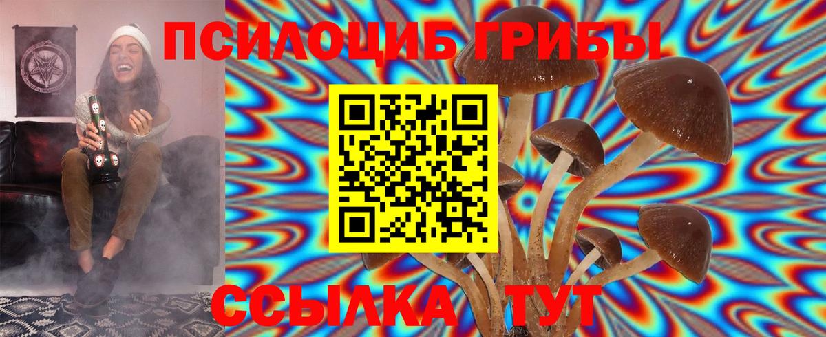 Псилоцибиновые грибы Psilocybe  Вход с VPN  Лесозаводск 